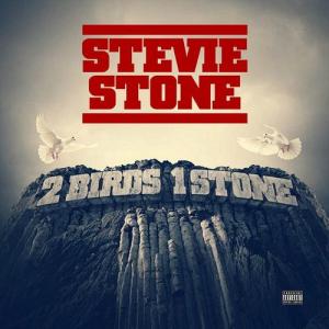 Stevie Stone 2 Birds 1 stone album